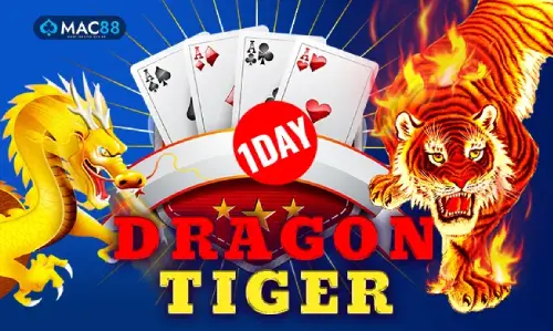 Dragon Tiger One Day game